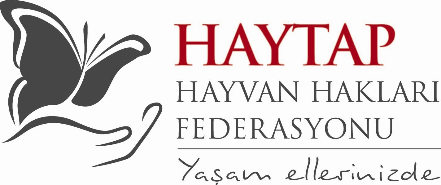 HAYTAP_logo